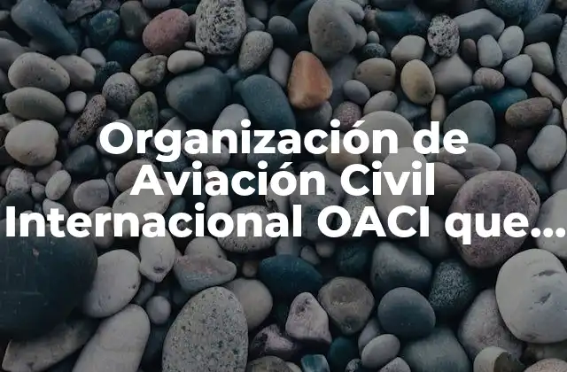 Organización de Aviación Civil Internacional Oaci que es