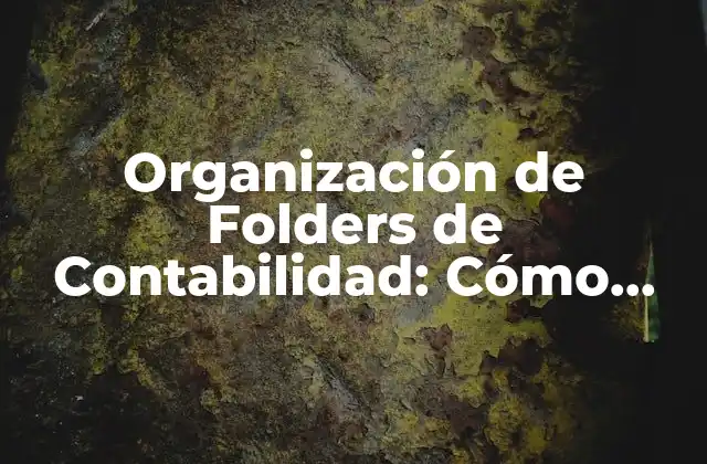 Organización de Folders de Contabilidad: Cómo Mantener Tus Finanzas en Orden