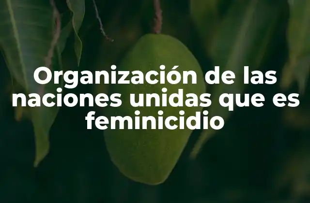 Organización de las Naciones Unidas que es Feminicidio