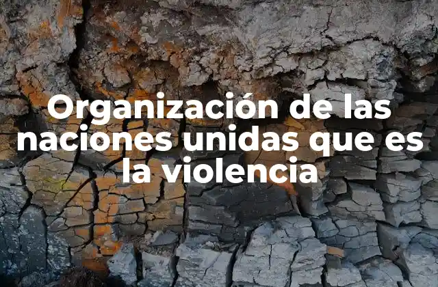 Organización de las Naciones Unidas que es la Violencia
