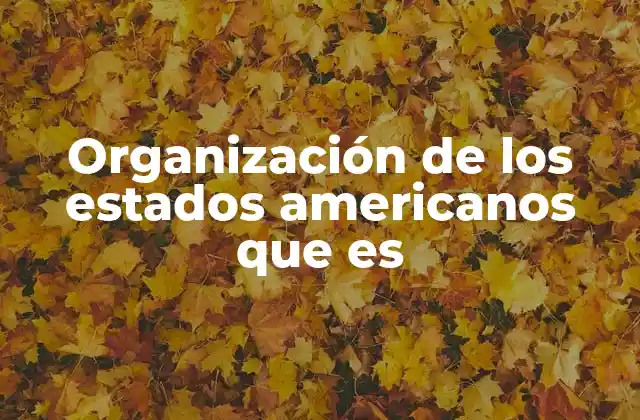 Organización de los Estados Americanos que es