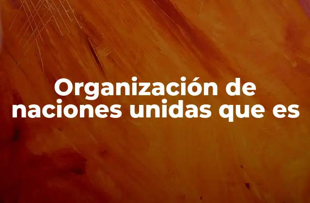 Organización de Naciones Unidas que es