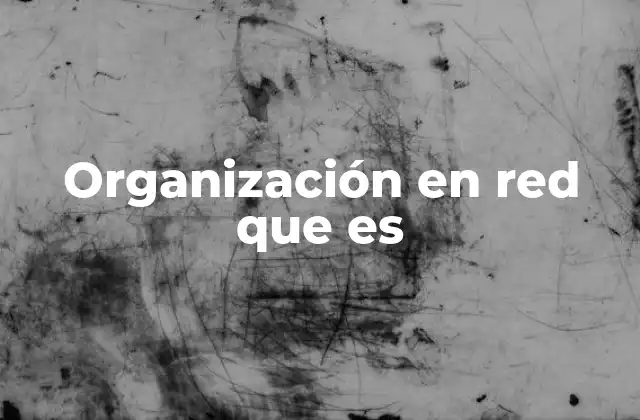 Organización en Red que es