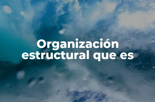 Organización Estructural que es