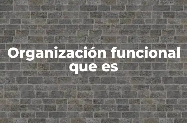 Organización Funcional que es 2 La estructura detrás del funcionamiento empresarial