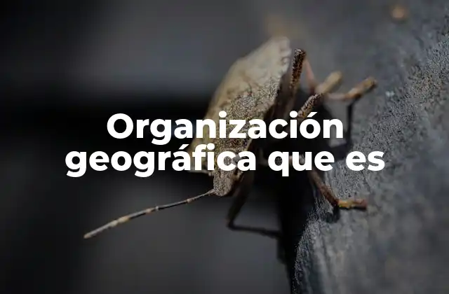 Organización Geográfica que es