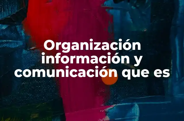 Organización Información y Comunicación que es
