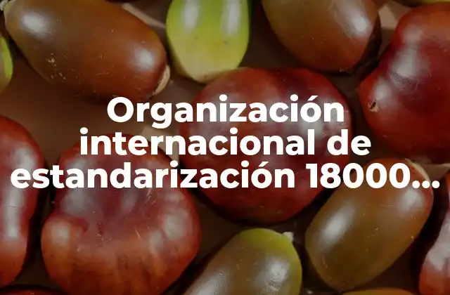 Organización Internacional de Estandarización 18000 que es