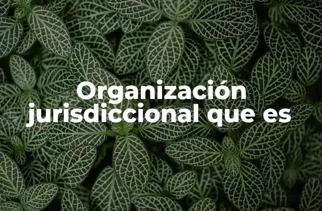 Organización Jurisdiccional que es