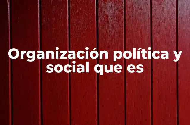 Organización Política y Social que es