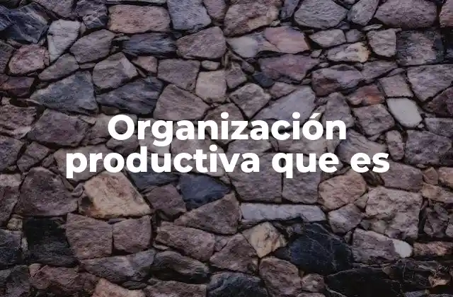 Organización Productiva que es