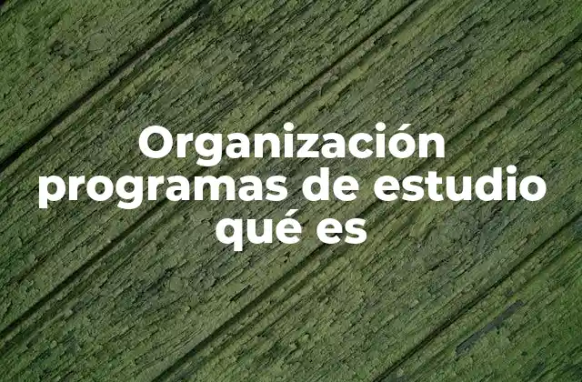 Organización Programas de Estudio Qué es