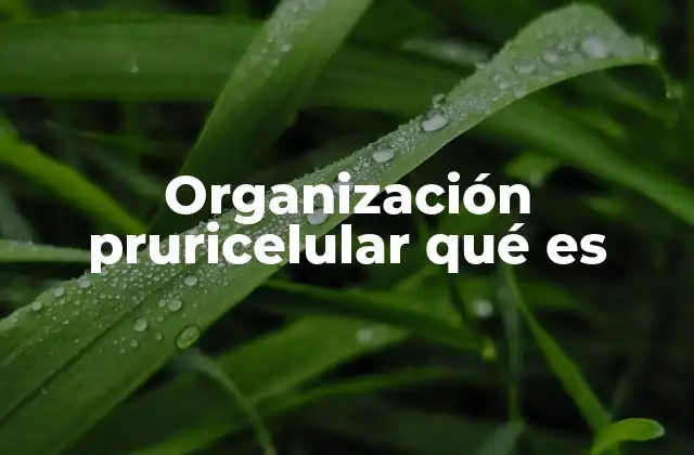 Organización Pruricelular Qué es
