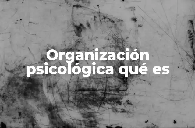 Organización Psicológica Qué es