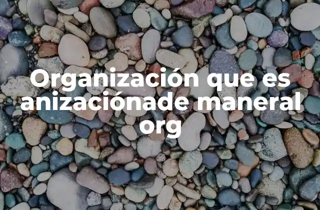 Organización que es Anizaciónade Maneral Org