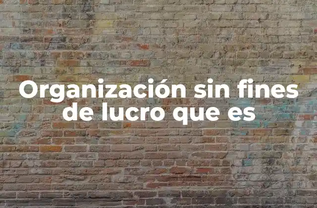 Organización sin Fines de Lucro que es