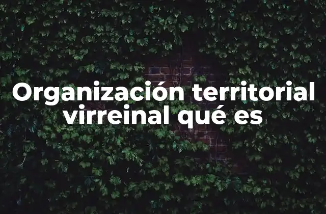Organización Territorial Virreinal Qué es