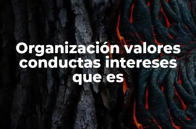 Organización Valores Conductas Intereses que es