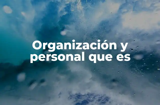 Organización y Personal que es