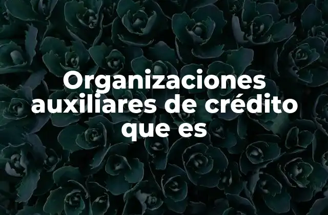 Organizaciones Auxiliares de Crédito que es