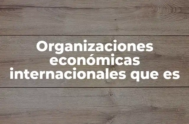 Organizaciones Económicas Internacionales que es