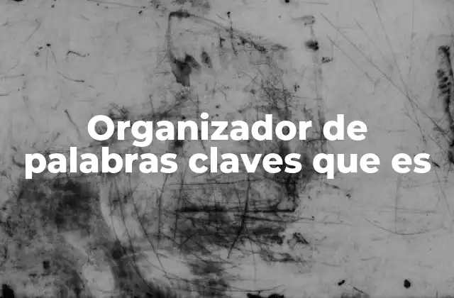 Organizador de Palabras Claves que es