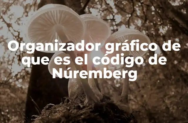 Organizador Gráfico de que es el Código de Núremberg 2 La importancia histórica del Código de Núremberg en el derecho internacional
