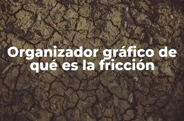 Organizador Gráfico de Qué es la Fricción