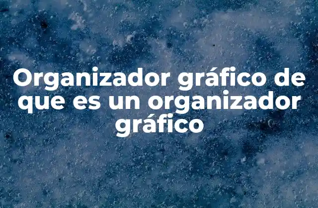 Organizador Gráfico de que es un Organizador Gráfico