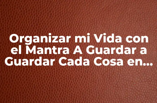 Organizar Mi Vida con el Mantra a Guardar a Guardar Cada Cosa en Su Lugar Letra