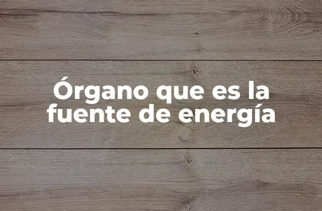 El papel del hígado en la producción y regulación energética