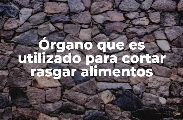 Órgano que es Utilizado para Cortar Rasgar Alimentos