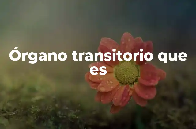 Órgano Transitorio que es