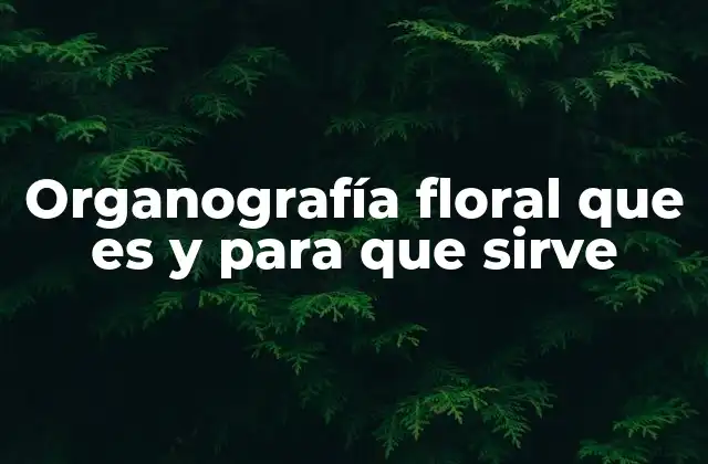 Organografía Floral que es y para que Sirve