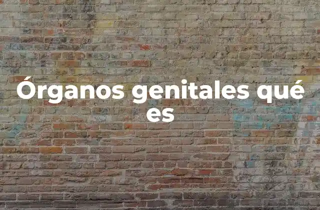 Órganos Genitales Qué es
