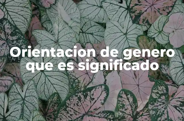 La relación entre el género, la identidad y la orientación