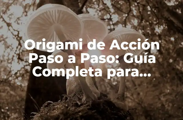 Origami de Acción Paso a Paso: Guía Completa para Principiantes y Expertos