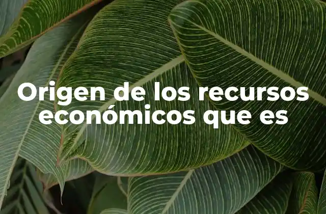 Origen de los Recursos Económicos que es