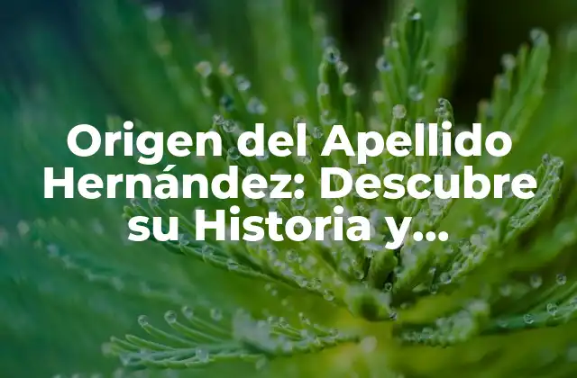 Origen Del Apellido Hernández: Descubre Su Historia y Significado