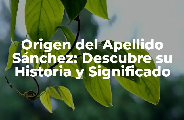 Origen Del Apellido Sánchez: Descubre Su Historia y Significado