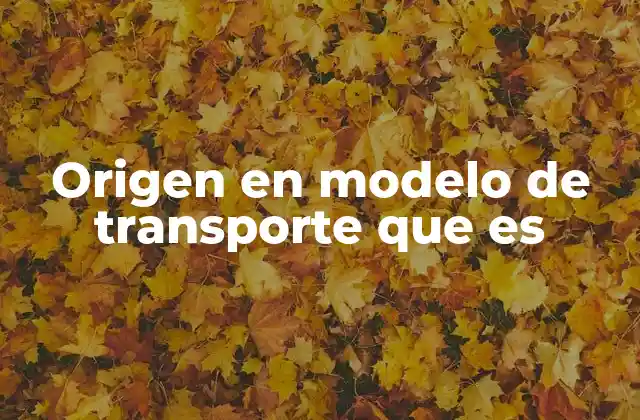 Origen en Modelo de Transporte que es