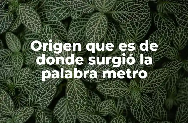 El camino hacia una medida universal