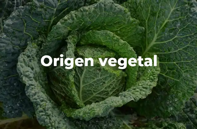 Origen Vegetal