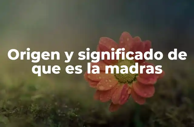 Origen y Significado de que es la Madras