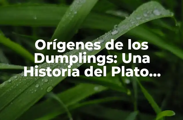 Orígenes de los Dumplings: una Historia Del Plato Favorito Del Mundo