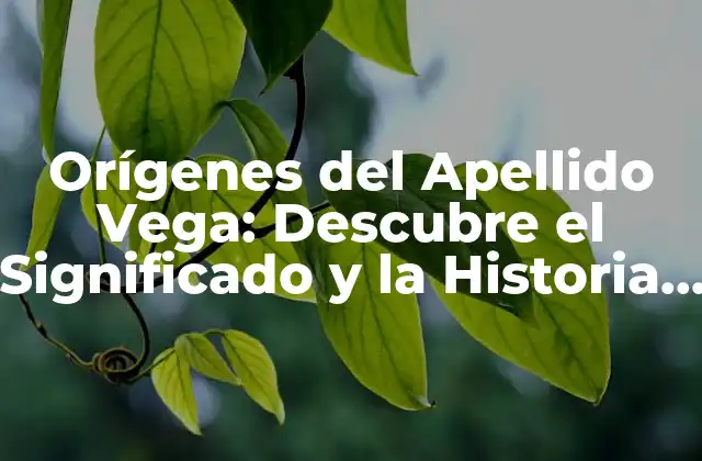 Orígenes Del Apellido Vega: Descubre el Significado y la Historia Detrás de un Nombre Común