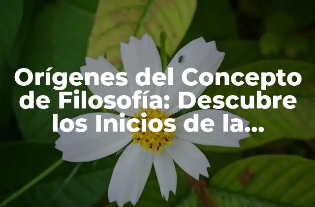 Orígenes Del Concepto de Filosofía: Descubre los Inicios de la Reflexión Humana