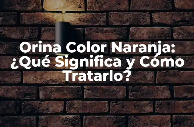 Orina Color Naranja: ¿qué Significa y Cómo Tratarlo?