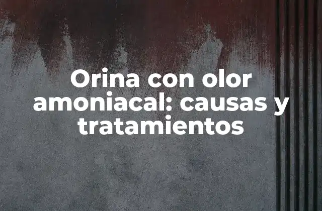 Orina con Olor Amoniacal: Causas y Tratamientos