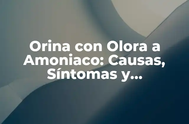 Orina con Olora a Amoniaco: Causas, Síntomas y Tratamiento
